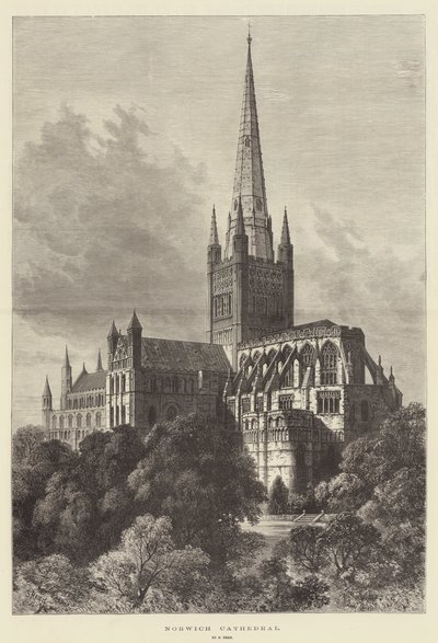Kathedraal van Norwich door Samuel Read